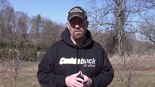 Fruit Tree Basics: Choose the Best for Deer Hunting