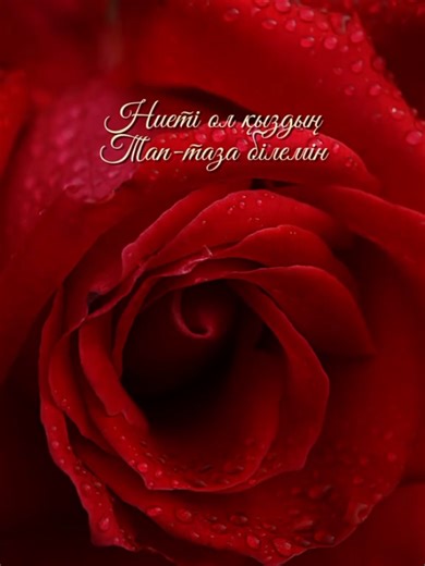 ӘН МӘТІНДЕРІ (@an_matinder)’s videos with оригинальный звук - ӘН МӘТІНДЕРІ