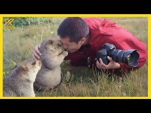 🐾 When Animals Completely Surprised Photographers 😂 | Funniest Animals & Humans