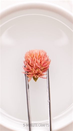 12K views · 65 reactions | Try these easy DIY candle ideas before they burn out! | 5-Minute Recycle | Facebook