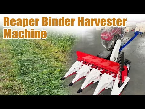 Reaper Binder Harvester Machine in Action | Efficient Crop Cutting & Swathing#reaperbinder