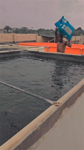 zolamandesigns on TikTok