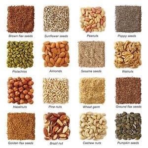 [Hot Item] Easy Operation Coconut Oil Presser Mini Hydraulic Oil Press Machine