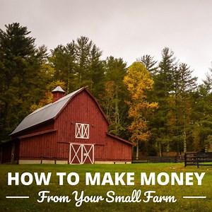 27 Ways to Make Money From Your Small Farm