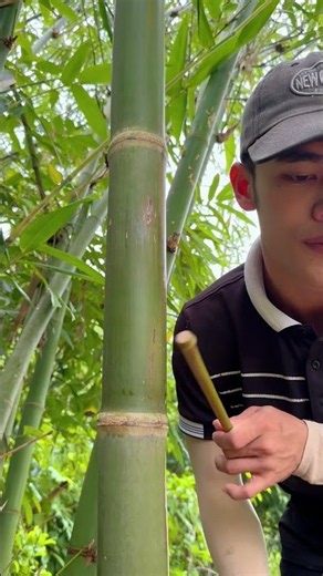 Survival Skills: How to Get Water from a BAMBOO Tree 💧#bamboo #survival #outdoor