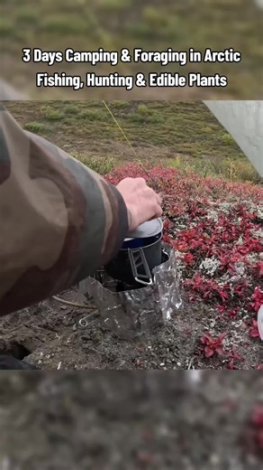 3 Days Camping and Foraging in the Arctic