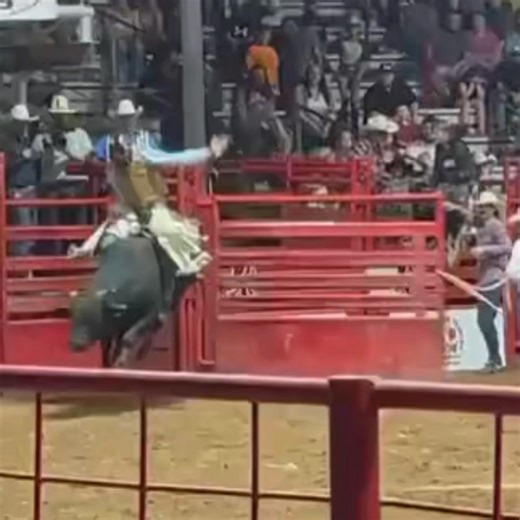 ULTIMATE BULL TEAM BULL w/ NFR & PBR FINALS POTENTIAL!!! Check out Lot 06 in The Breeder's Connection February 18th Winter Select Sale!!! James Andrews w/ Andrews Rodeo Company's consigned -101 Highway 101, a coming 5yr old that brings the gas every time!!! Bull Riders Love Him!!! He does the same thing every time. When they ride him, they are a lot of points. Put the right bull rider on him at team events and you could win a lot of money!!! VIEW SALE CATALOG: https://thebreedersconnection.com/2