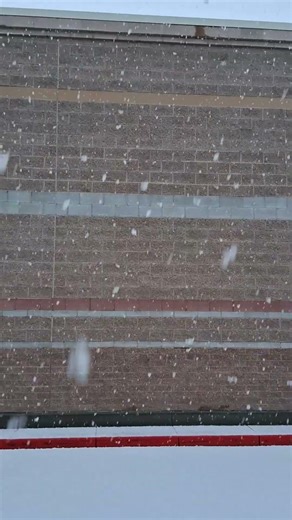 Giant Snowflakes Falling in NW Montana ❄️ #havefuninnature #shorts #largesnowflakes #snowfall #snow