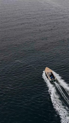 #jurassicworld #shorts 🛳️ water king