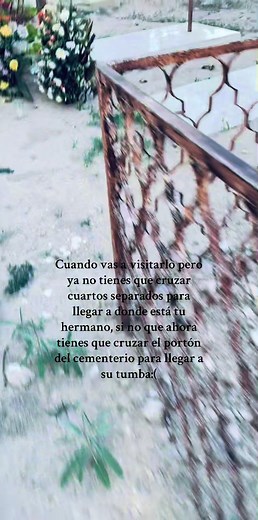 No hay un solo día de mi vida en el que no te extrañe 💔 me sigo preguntando el porqué tú si tenías tantas cosas por hacer , tantos planes por cumplir , desearía tanto recibir un mensaje un audio o una videollamada como siempre acostumbrabas hacerme , te extraño tanto tanto hermanito😭💔