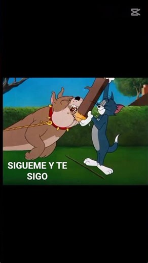 SIGUEME Y TE SIGO #freefire #pvpff #pvps #highlights