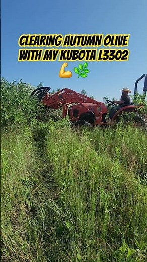Clearing Autumn Olive with My Kubota L3302 💪🌿 #simpleliving
