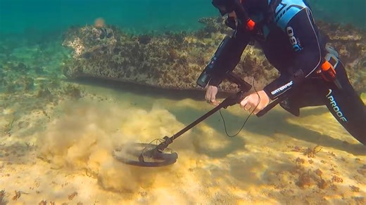 Diving where whales still pass and history still lies below