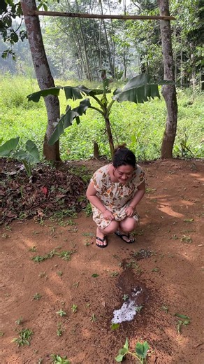 Nyari cacing dikebun