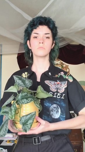 i love this audio so much #fyp#enby#nonbinary#alt#alternative#lesbians#lgbtq#plants#punk