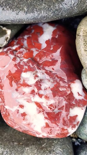 Rogue River Jasper. Oregon Coast.