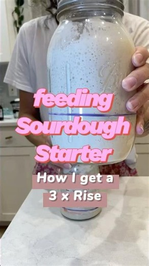 How to feed 🌾 Sourdough Starter 🌾 from a cold fridge to a triple rise