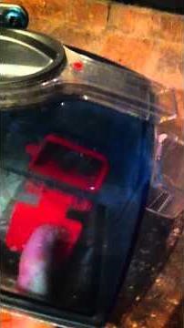 Repair Bissell Carpet Cleaner