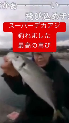 デカアジ入れ食い祭り 奇跡の1日 #遠投カゴ釣り #デカアジ #ジャンボアジ #アジ釣り