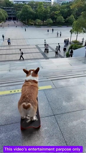 मम्मी का स्केटिंग बोर्ड 😊🛹🥇‼️👻~mini wood toy -woodworking art skill/ #shortvideo #wood#shortsfeed