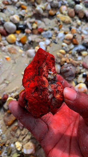 Red stone agate #gemstones #agate #diamond #jade #petrifiedwood #fyp #fypreels | Gemstone Explorers