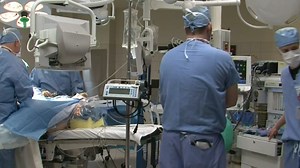 Check Your Health: Genetics Can Help to Best Prescribe Warfarin Medication