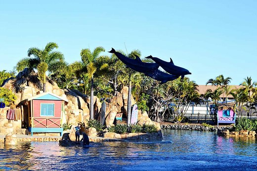 100 Fun Things to Do on the Gold Coast with Kids