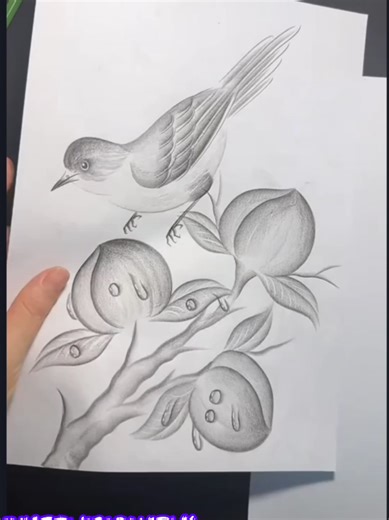 How To Draw With a Pencil: Step-by-Step Tutorial