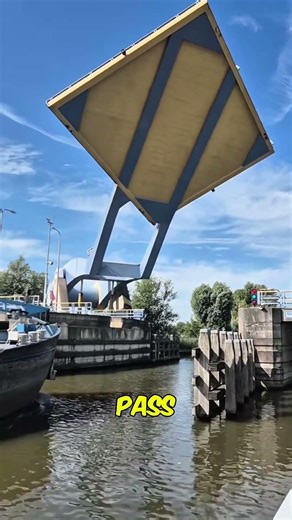 These are the most unusual bridges on the planet
