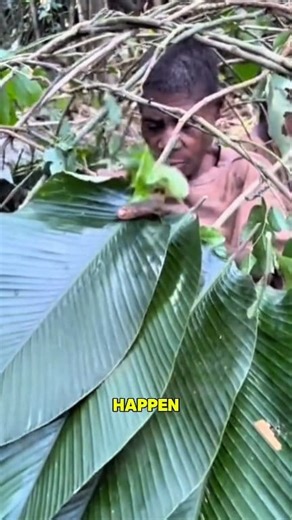 In many remote tribal communities, childbirth is a major event. When the chief’s wife is about to give birth, villagers gather to support and celebrate. With no hospitals nearby, births often happen in simple shelters made from materials like banana leaves, guided by an experienced traditional midwife. Daily meals are usually basic grains and vegetables, so meat is saved for special occasions. The birth of a child is one of them, and women prepare dishes while everyone shares beef or goat. The c