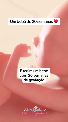 Barriga de Grávida de 1 Mês: Tamanho e Evolução na Gravidez de 20 Semanas