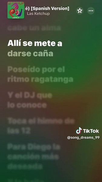 Las Ketchup —The Ketchup Song— #lyrics #music #lyrics_songs #foryoupage #sommer #spain