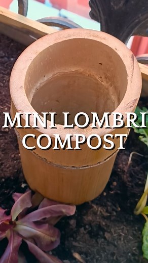 7.3K views · 575 reactions | Le Mini Lombricomposteur qui nourrit ta...