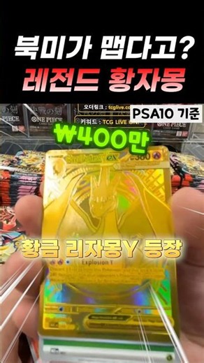 북미가 맵다고?! 어센디드히어로즈 리자몽y 등장 #포켓몬대리깡 #포케몬카드깡 #어센디드히어로즈 #리자몽 #황자몽 #리자몽y