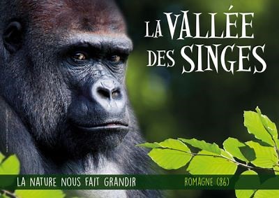 Vallée des Singes ❤️ Tarifs Promo Billets Horaires 2026 Romagne