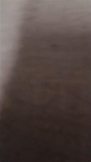 my first perfect loop🎉||#shorts #funny