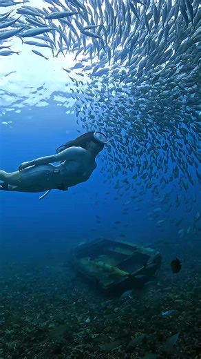 #freedive #freediving