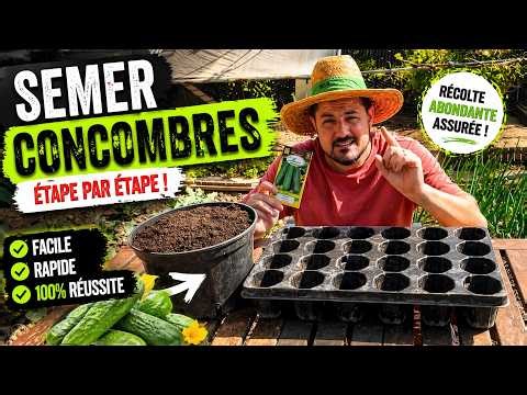 Comment réussir ses semis de concombres (étape par étape) 🍃