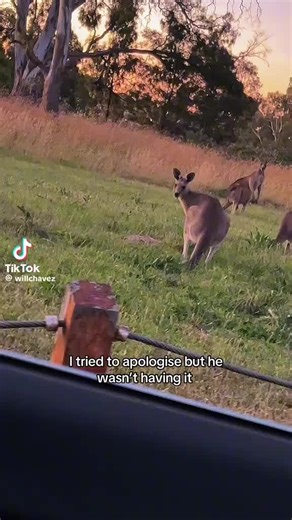 Joey's gonna tickle u (@teikeiistechy)’s videos with original sound - Joey's gonna tickle u