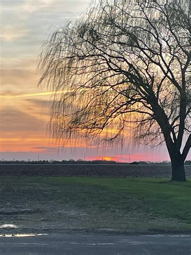 Turns out monsters hate small talk too… good thing the sun always shows up eventually. 🌄 #sunrise #storyaudio #fyp #deepvibes #FacingFears