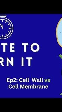 Minute to Learn It | Ep 2: Cell Wall vs Cell Membrane