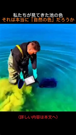 海の神秘録 on Instagram: "水は、なぜさまざまな色に見えるのだろうか。 私たちが目にする 池や湖の色は、 想像以上に多くの要因によって決まっている。 その中には、 人為的に加えられた色が 関係している場合もある。 公園の池や噴水など、 景観を目的とした水域では、 水をより深く、清潔に見せるために 無毒性の染料が使われることがある。 また、農業用水や貯水池の管理では、 日光を一部遮り、 水温の上昇や 藻類の過剰繁殖を抑える目的で、 特定の色素や添加剤が利用される。 光の透過量を調整し、 水質を安定させるための 管理技術の一つだ。 科学研究の分野でも、 色は重要な役割を果たす。 水の流れや移動経路を追跡する **ダイ・トレーシング（染料追跡法）**は、 河川や地下水の研究で 広く用いられている。 しかし、 管理や研究の目的を超えて 染料が無断・過剰に使用されると、 問題が生じる。 着色によって水中の光環境が変わり、 植物や微生物のバランスが崩れ、 生態系にストレスや影響を与えるからだ。 水の色は、 単なる「演出」ではない。 管理・研究・環境保全へとつながる、 科学的な選択の結