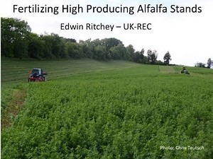 Soil Fertility for High Producing Alfalfa