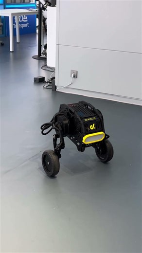 Precision in every move. Exploring the Diablo robot's balance. 🦾