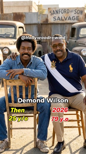 Gone But Not Forgotten: The Cast of Sanford and Son #SanfordAndSon #ReddFoxx #DemondWilson | The Shala
