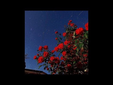 [free for profit] powfu x guitar x lofi type beat - "beautiful" | 2026