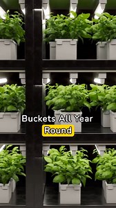 177K views · 5.7K reactions |  Save this for later . . . #survivalfood #growyourown #doityourselfproject #independentliving | No Grid Survival Projects | Facebook