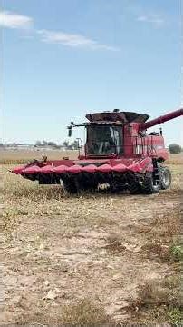 Combine Unloading #case6140 #combine #cornharvest #farming