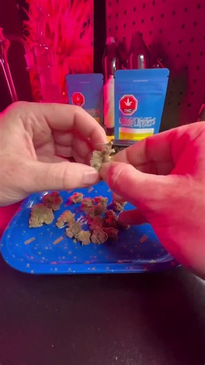 Let’s roll a Hash-Hole 🍯🔥