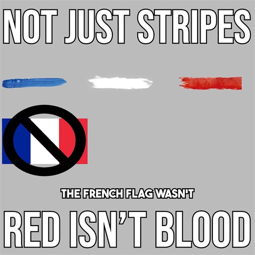 Discover the fascinating history and symbolism behind the French flag, known as the "Tricolore." This video delves into the origins of its three iconic colors—blue, white, and red—and what they represent in the context of France's rich heritage. #frenchflag #tricolore #francehistory | Real Life Lore